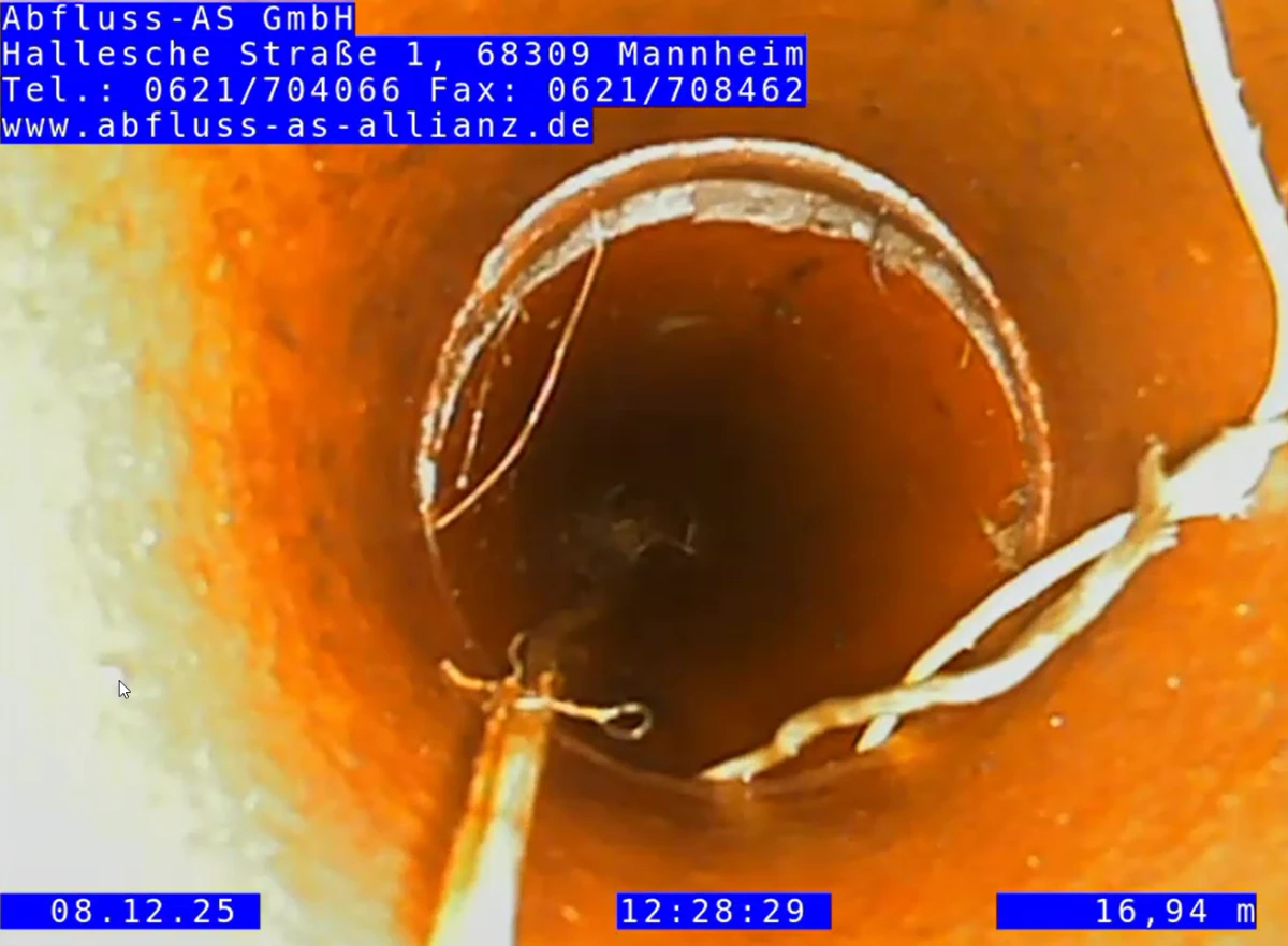 Kanal-TV-Untersuchung / TV-Inspektion Nidderau 3 Wurzeleinwuchs Und Fremdkörper _ Bild